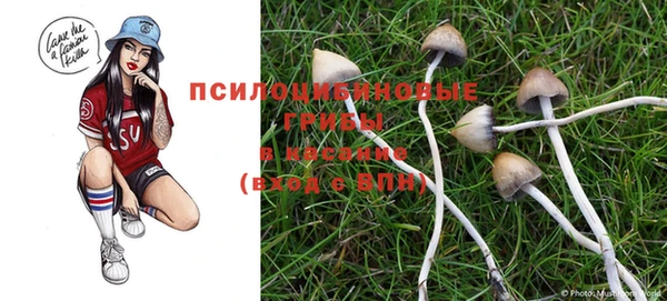 герыч Балахна