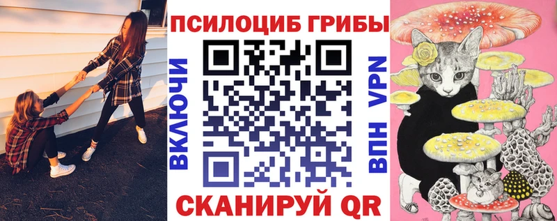 Галлюциногенные грибы Psilocybe  Ухта 
